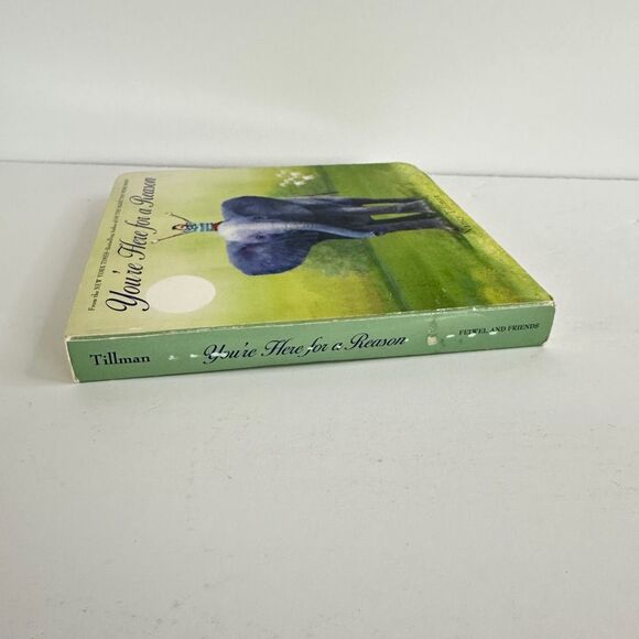 2/$6 You’re Here for a Reason book by Nancy Tillman (Board Book) - Picture 8 of 12